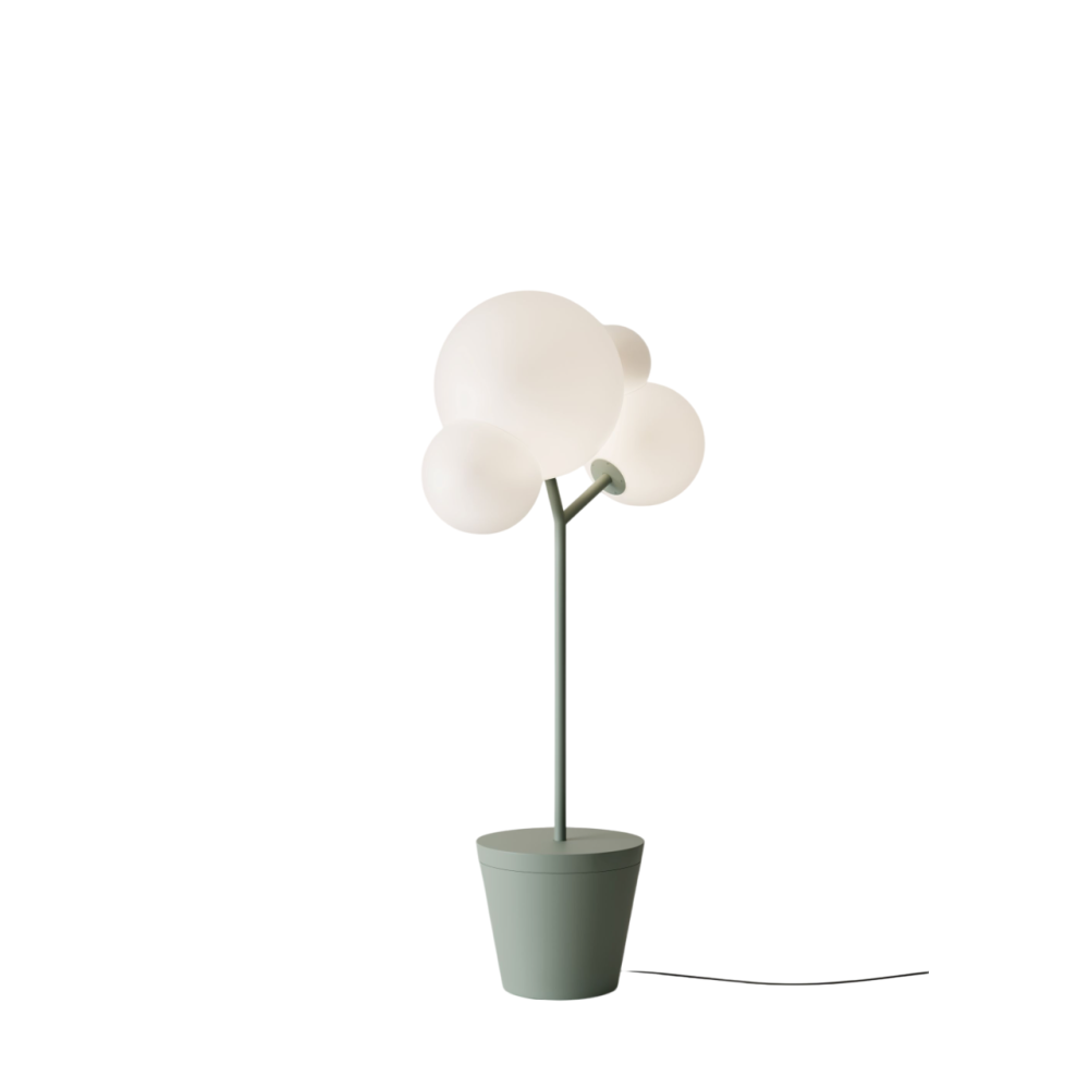 Zafferano – Tree of Light